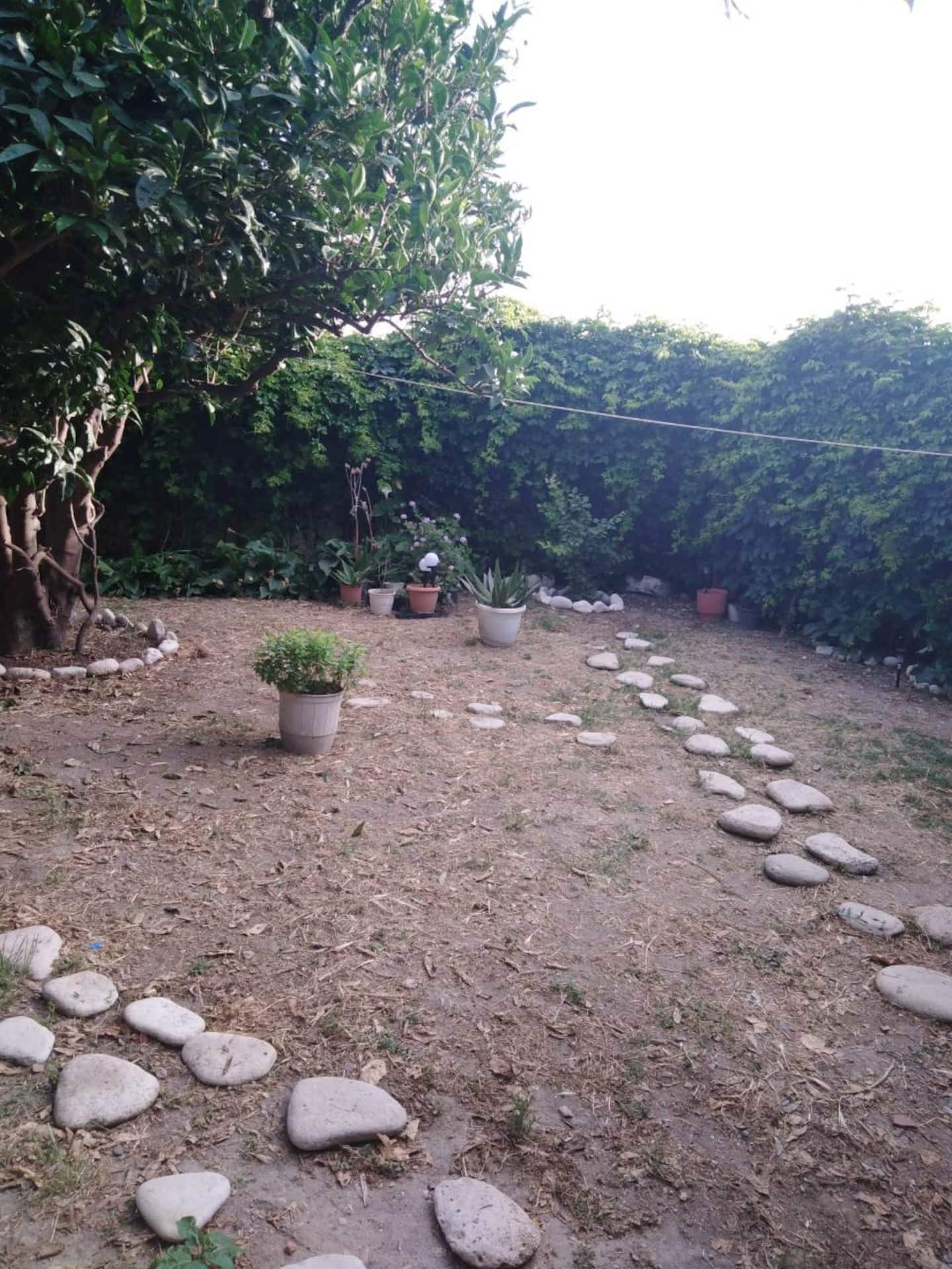 S.telio Pythagorio House — photo 16